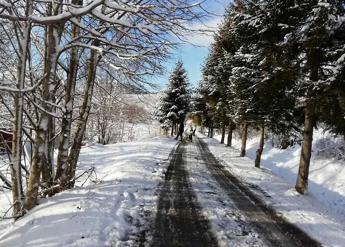 Sanmari_forest * Ledenice